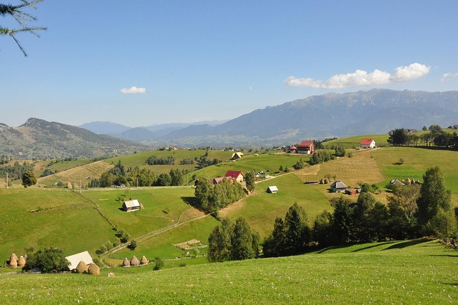 Small-Group Day Trip in Romanian Authentic Mountain Villages from Brasov - Lilicilor Cave Bat Cave: Jurassic Rock and the Small Thrill of Spotting Bats