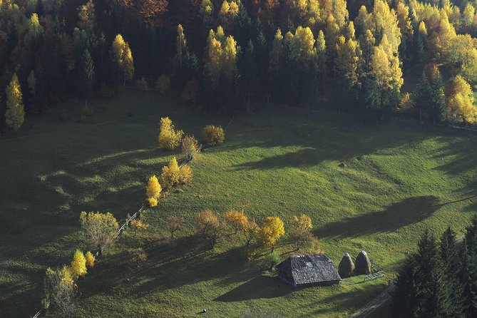 Small-Group Day Trip in Romanian Authentic Mountain Villages from Brasov - Pestera Village and the Oldest Guesthouse: Cheese Tastings, Home-Style Lunch, and Optional Church Time