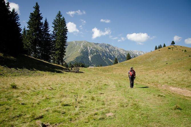 Small-Group Day Trip in Romanian Authentic Mountain Villages from Brasov - Price and Value: What You’re Really Paying for at $119.47