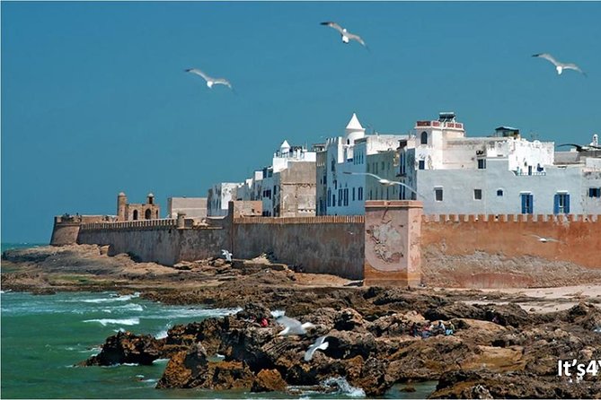Small-group Day Trip to Essaouira from Marrakech - Timing, group size, and how to keep the day relaxed