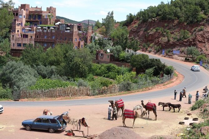 Small Group Day Trip to Ourika Valley & Atlas Mountains - Stop 2: Ourika Valley with a local guide and time on the walk