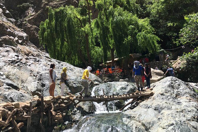 Small Group Day Trip to Ourika Valley & Atlas Mountains - Price and value: why this feels like a deal