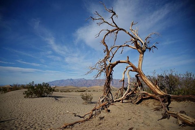 Small-Group Death Valley National Park Day Tour from Las Vegas - Badwater Basin: the lowest point feel