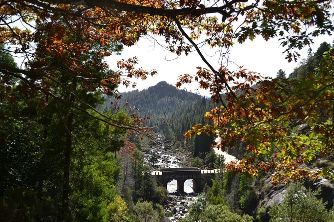 Small Group Geres National Park Full Day with picnic from Porto - Picnic lunch in the park: the best kind of break