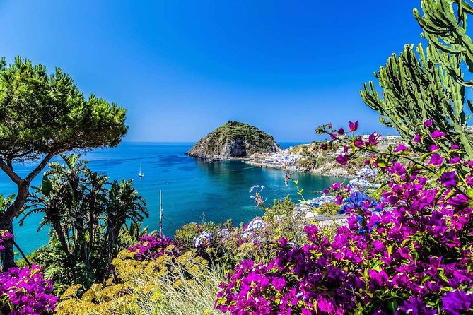 Small Group Ischia and Procida Boat Day Tour from Sorrento - Ischia’s Maronti Beach and the Green Cave swim stop