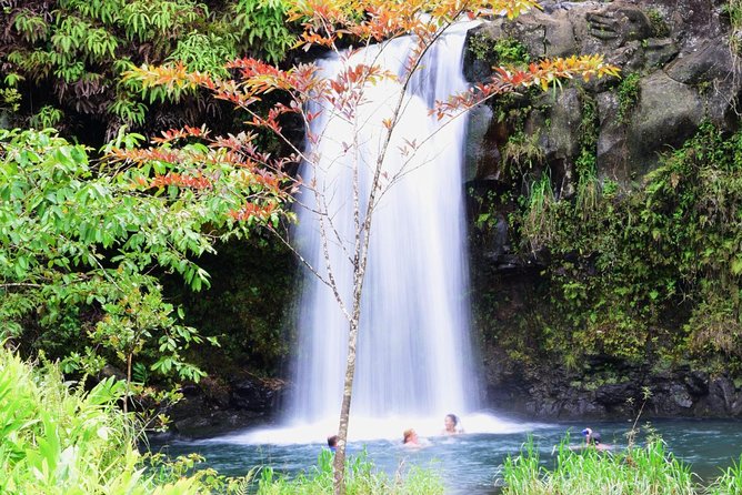 Small-Group Luxury Tour: Road to Hana and Ka'eleku Cavern Day Trip - Where the van stops: waterfalls, Ke‘anae Point, and bamboo along the Hana road