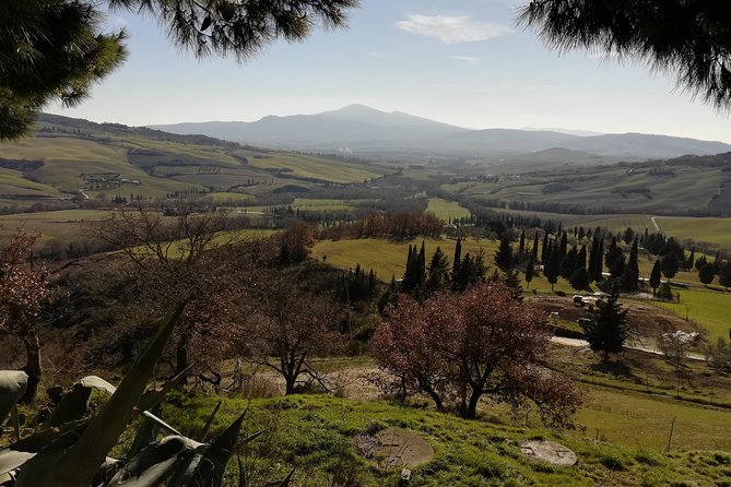 Small-Group Montepulciano and Pienza Day Trip from Siena - Pienza: walking time in a Renaissance town you can actually picture