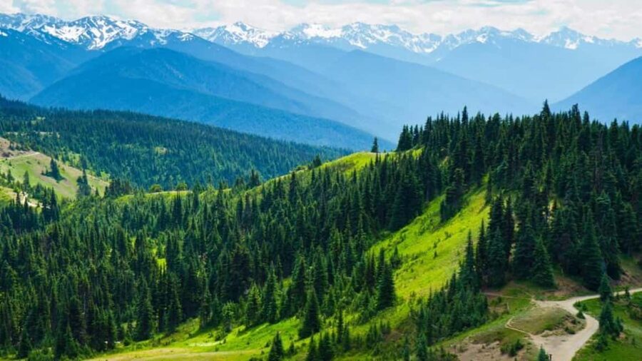 Small Group: Olympic National Park Day Tour From Seattle - Key highlights to know before you go