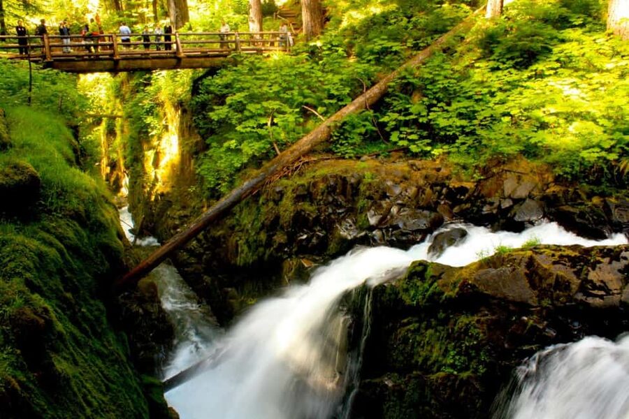 Small Group: Olympic National Park Day Tour From Seattle - Hood Canal Floating Bridge: the route is part of the show