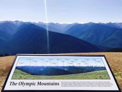 Small Group: Olympic National Park Day Tour From Seattle - Ferry ride from Seattle to Bainbridge Island: your slow start, not a chore