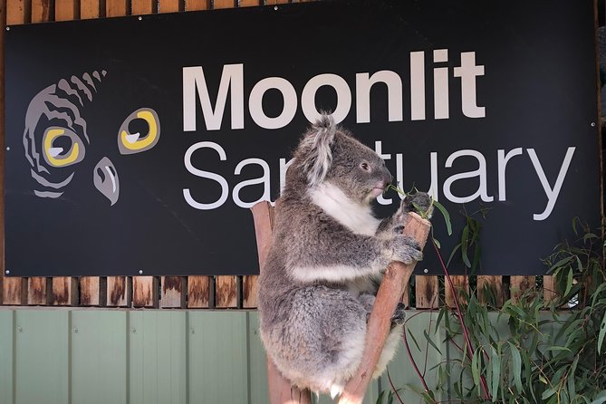 Small-Group Phillip Island Afternoon Day Trip from Melbourne - How Much Value Is $150.01 for This Day Trip?