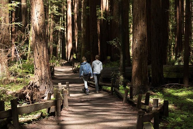 Small Group Redwoods, California Coast & Sausalito Day Trip from San Francisco - A smooth North Bay loop for first-timers