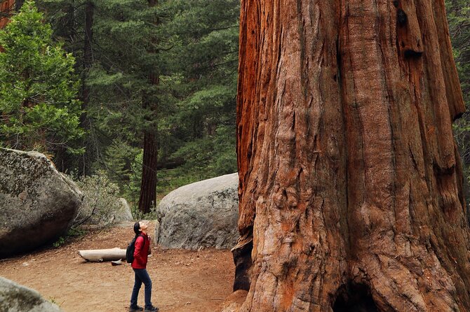 Small Group Redwoods, California Coast & Sausalito Day Trip from San Francisco - Marin Headlands: the panoramic closer