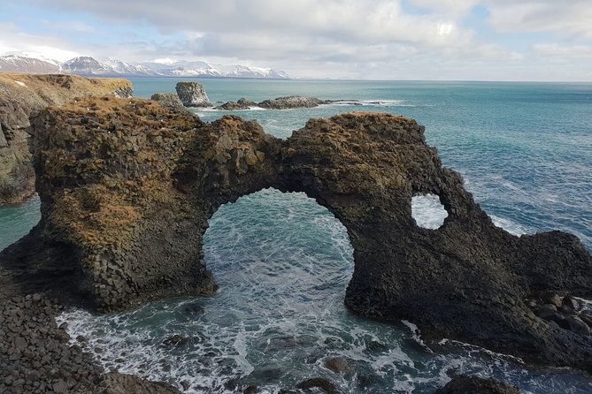 Small-Group Snaefellsnes National Park Day Trip from Reykjavik - Ytri Tunga Seals: Wildlife Stop on Your Terms