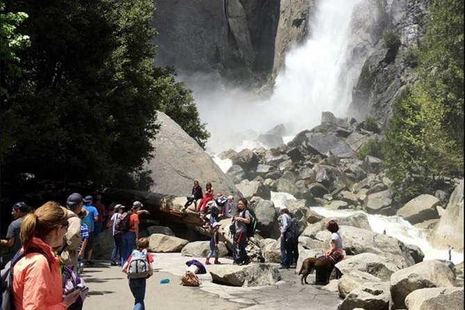 Small Group Yosemite and Giant Sequoias Day Trip from San Francisco - Yosemite Valley Free Time: Your Two-Hour Choose-Your-Own Adventure