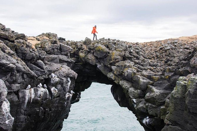 Snaefellsnes Peninsula Full Day Tour from Reykjavik - Why Snaefellsnes From Reykjavík Feels Like a Win