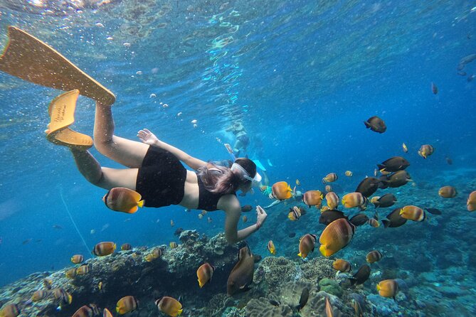 Snorkeling Day Trip To Lembongan and Penida - Key things I’d focus on before you go