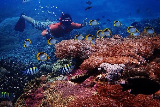 Snorkeling Day Trip To Lembongan and Penida - Pickup, meeting points, and what the ride day demands