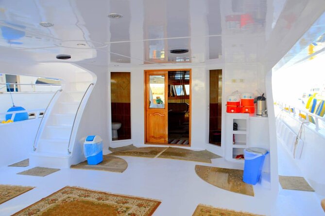 Snorkeling Day Trip To White Island And Ras Mohammed By VIP Boat - Key highlights worth aiming for