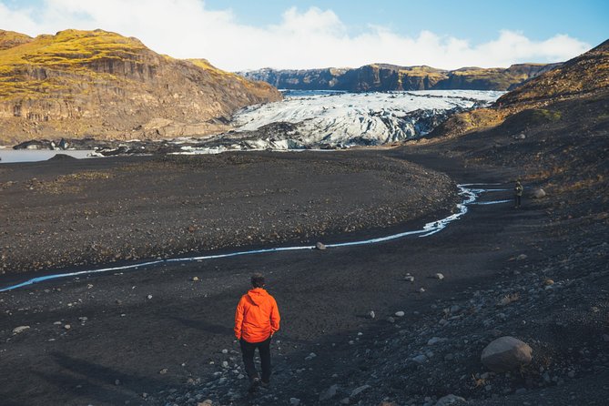 South Coast Day Tour Black Sand Beach & Waterfalls from Reykjavik - Price and Value at $109.80: What You Really Get
