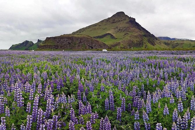 South Coast. Private Day Tour from Reykjavik - The 10-Hour Reality Check: How You’ll Spend Your Time