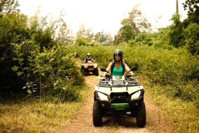 South Mauritius Day Trip: Quad and Sea - Royal Palm Forest and La Cambuse: why these nature stops are part of the point