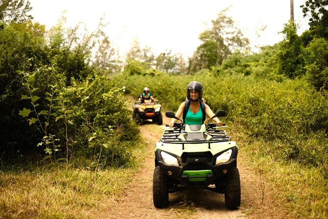 South Mauritius Day Trip: Quad and Sea - Royal Palm Forest and La Cambuse: why these nature stops are part of the point
