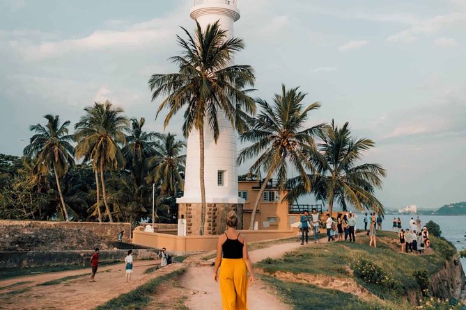 Southern Sri Lanka Sightseeing Day Trip From Colombo & Negombo - Price and value: what $85 really covers (and what may cost extra)