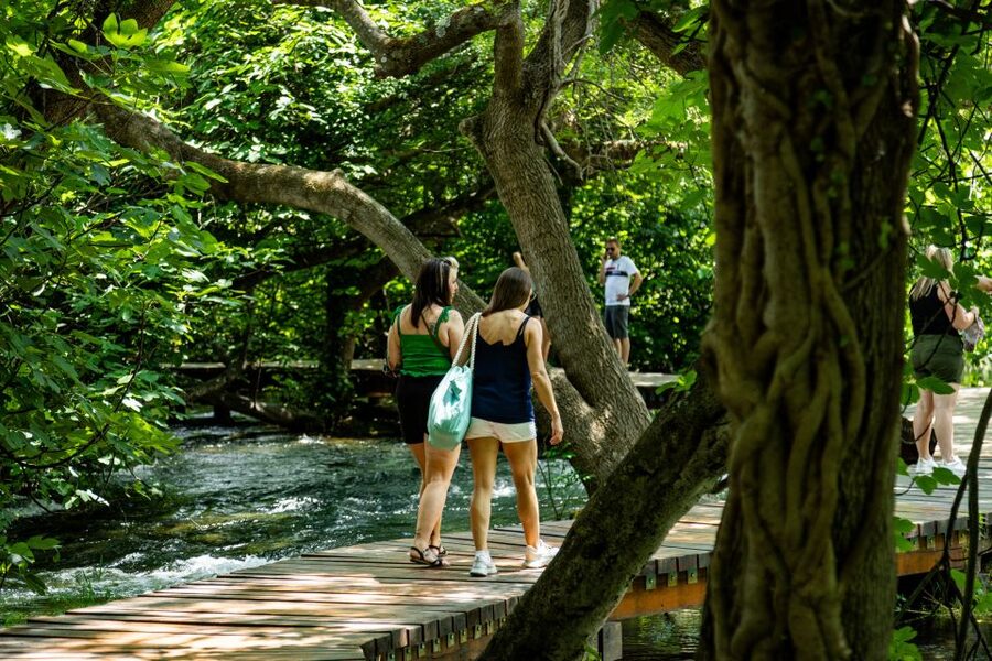 Split: Krka National Park Day Trip with Boat Ride & Swimming - The boat ride on the Krka River: a quick canyon view to shift gears