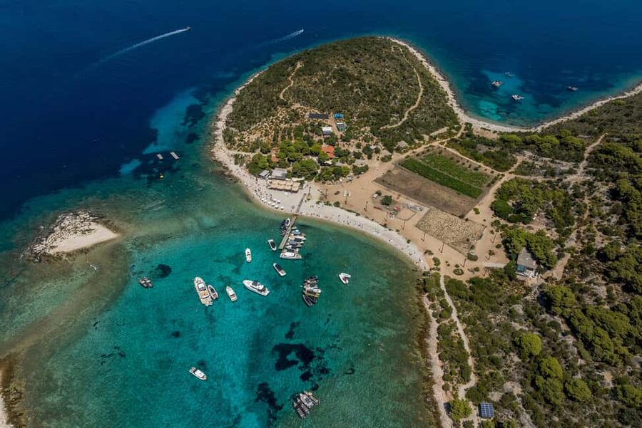 Split or Trogir: Blue Cave, Vis, and Hvar Speedboat Day Trip - Pakleni Islands near Hvar: pine shade, sandy coves, and beach-bar culture