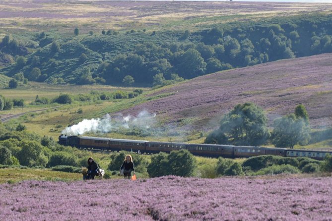 Steam Trains, Whitby, and the North York Moors Full-Day Tour from York - From York: pickup, minibus comfort, and live guide talk