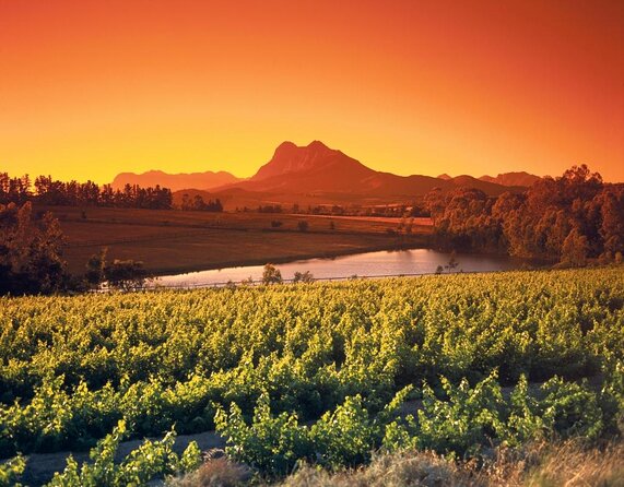 Stellenbosch, Franschhoek and Paarl Winelands Full Day Trip from Cape Town - Key Highlights Worth Noticing
