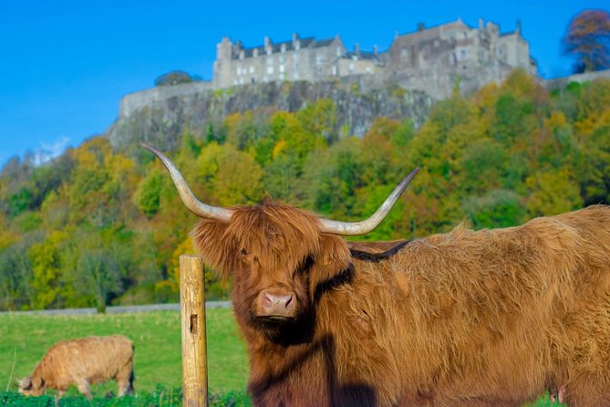Stirling Castle,Trossachs National and Loch Lomond Day Tour from Edinburgh - A 9-Hour Highlands Sampler from Edinburgh