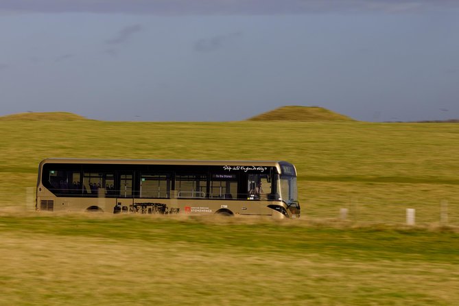 Stonehenge Shuttle Bus from London with Optional Fish & Chips - Logistics That Matter: Weather, Meeting Points, and Road Time