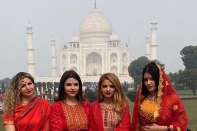 Sunrise Taj Mahal and Agra Day Tour From Delhi - All Inclusive - Agra Fort: Mughal power in red sandstone