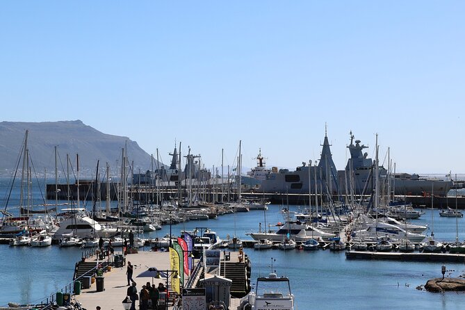 Supersaver: Cape of Good Hope and Cape Point Day Tour from Cape Town - Boyes Drive in Muizenberg: Sharks Spotter Views and Surf Vibes