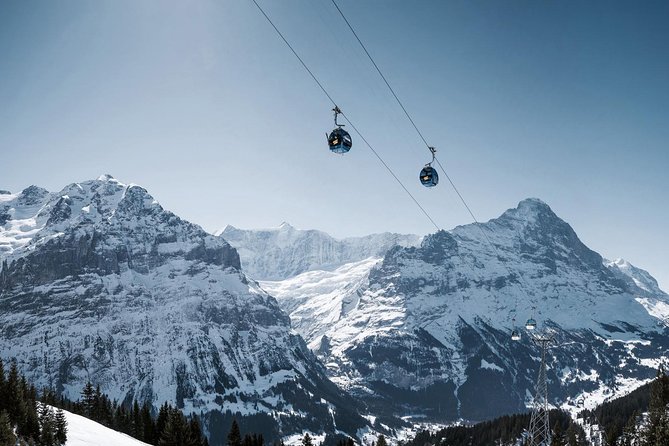 Swiss Alps: Interlaken and Grindelwald Day Trip from Zurich - Price and logistics: what you’re paying for (and what you’re not)
