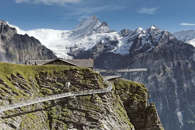 Swiss Alps: Interlaken and Grindelwald Day Trip from Zurich - Who should book this Zurich-to-Interlaken-to-Grindelwald trip?