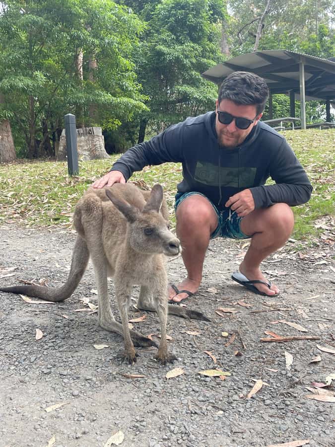 Sydney: Jervis Bay Day Trip with Dolphins, Roos & Beach Time - Hyams Beach and Its Guinness-Level White Sand