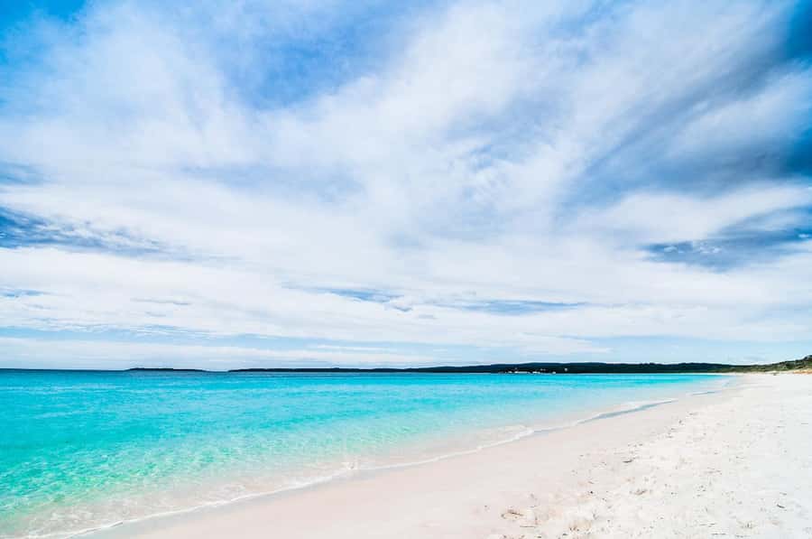 Sydney: Jervis Bay Day Trip with Dolphins, Roos & Beach Time - How the Guides Shape the Day: English, Portuguese, and Extra Attention