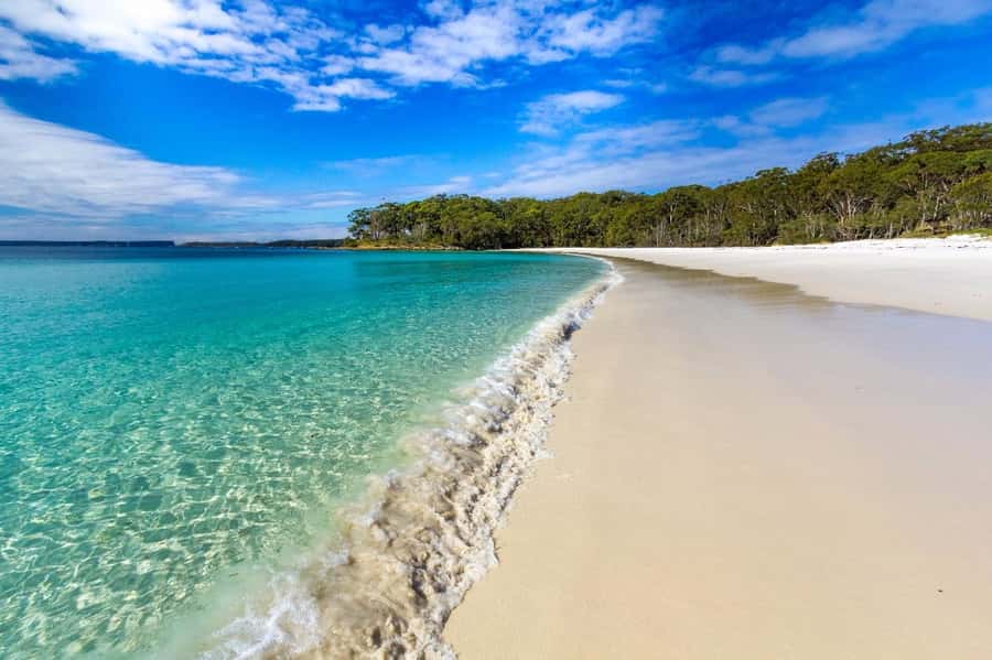 Sydney: Jervis Bay Day Trip with Dolphins, Roos & Beach Time - What Might Change: Weather, Swimming, and How to Stay Comfortable