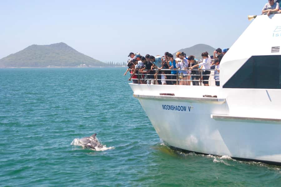 Sydney: Port Stephens Dolphin Cruise & Sandboarding Day Trip - Why This Port Stephens Day Trip Feels Like Two Trips in One