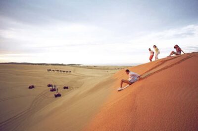 Sydney: Port Stephens Dolphin Cruise & Sandboarding Day Trip - Dolphin Discovery Cruise in Port Stephens: The Best Part, With a Wild-Attitude Reality Check