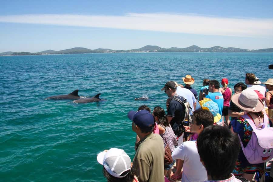 Sydney: Port Stephens Dolphin Cruise & Sandboarding Day Trip - Value for $145: What You’re Actually Getting