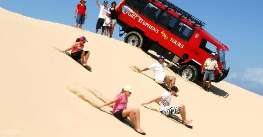 Sydney: Port Stephens Dolphin Cruise & Sandboarding Day Trip - Should You Book Brighton Coach & Tours Port Stephens Dolphin Cruise and Sandboarding?