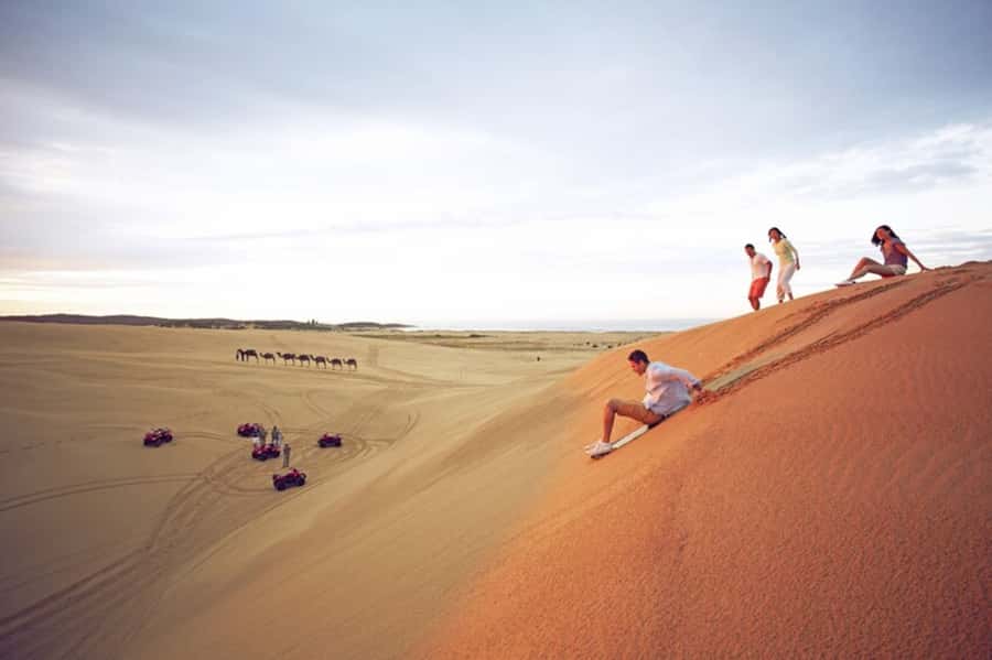 Sydney: Port Stephens Dolphin Cruise & Sandboarding Day Trip - Dolphin Discovery Cruise in Port Stephens: The Best Part, With a Wild-Attitude Reality Check