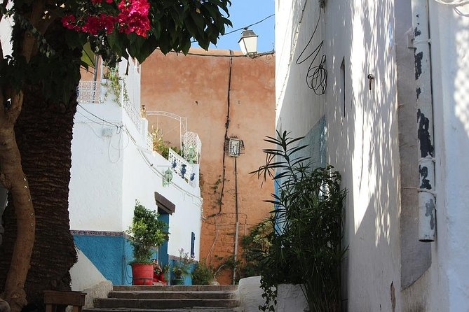 Tangier Day Trip from Seville with Lunch Included & Local Guide - Lunch in Tangier: Included Meal, Included Mood