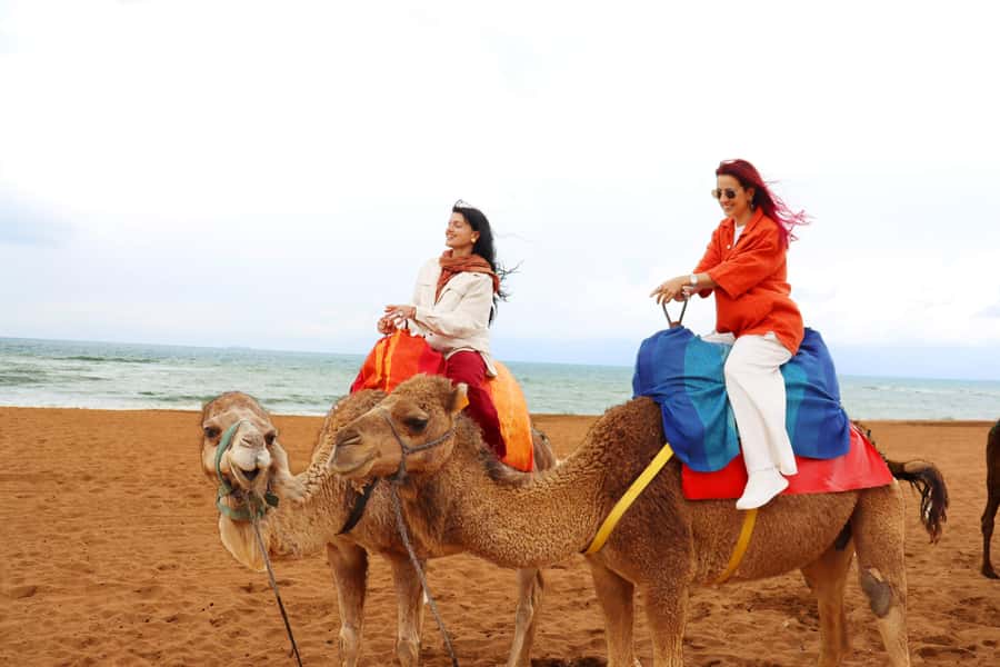 Tarifa: Day trip to Tangier by ferry with lunch and tour guide - Should you book the Tarifa to Tangier day trip?