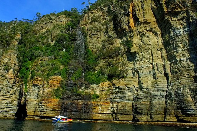 Tasman Island Cruises and Port Arthur Historic Site Day Tour from Hobart - Wildlife sightings: how to actually improve your odds