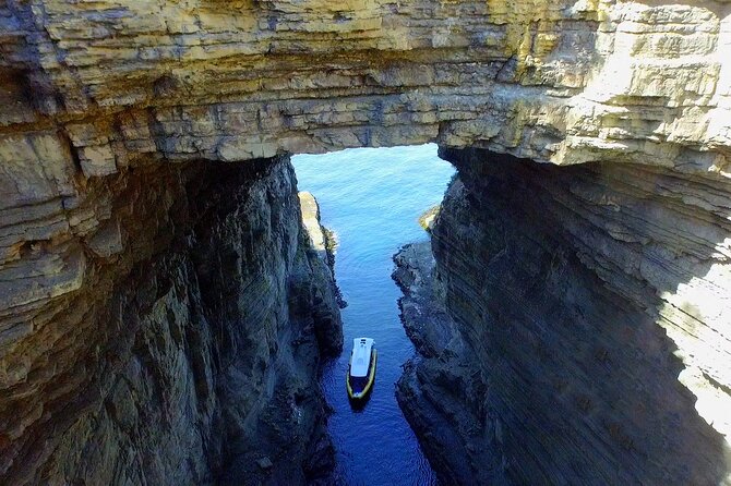 Tasman Island Cruises Day Tour from Hobart - Key highlights worth getting excited about